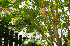 Dalen Fake Hornet's Nest - Wasp & Bee Territorial Nesting Repellent - 3 Pack